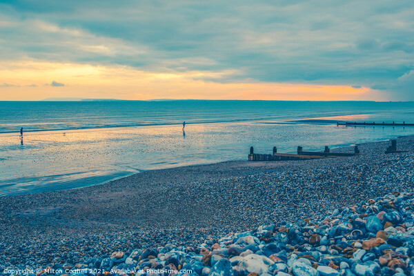 East Wittering Beach at Sunset Picture Board by Milton Cogheil