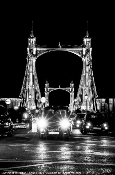 Iconic Albert bridge in black and white Picture Board by Milton Cogheil
