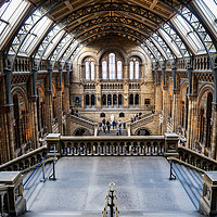Buy canvas prints of Natural History Museum, London by Milton Cogheil