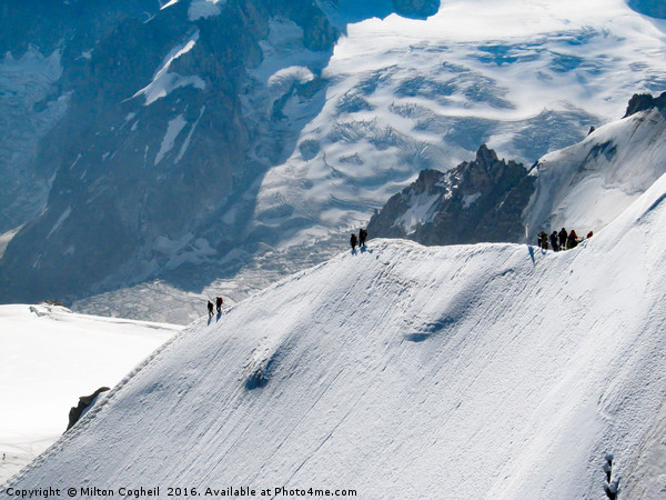 Mont Blanc, Chamonix Picture Board by Milton Cogheil