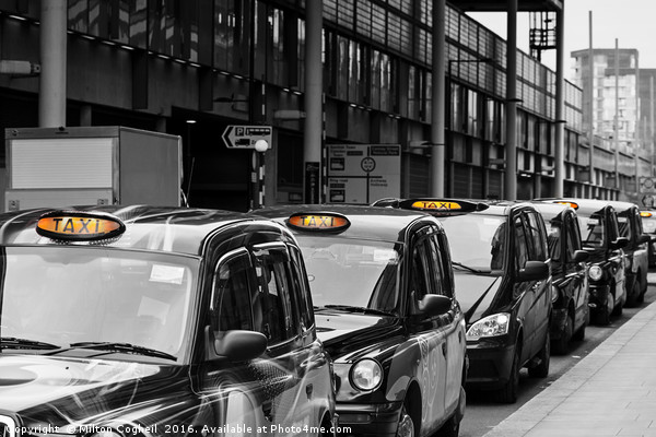 London Black Cabs Picture Board by Milton Cogheil