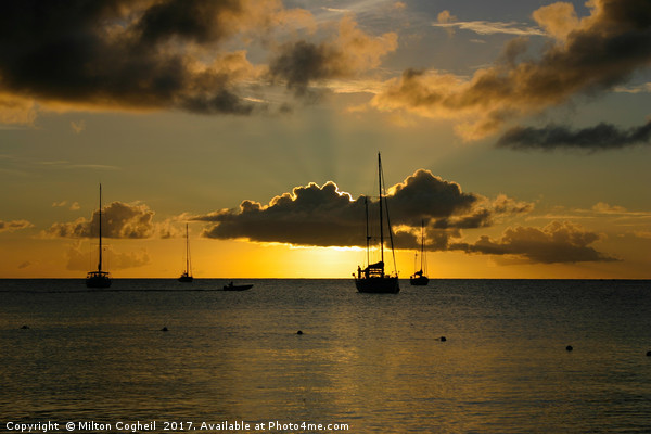 St Lucia Sunset 2 Picture Board by Milton Cogheil