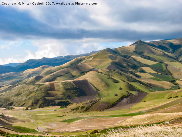 Ecuador Landscape 1 Picture Board by Milton Cogheil