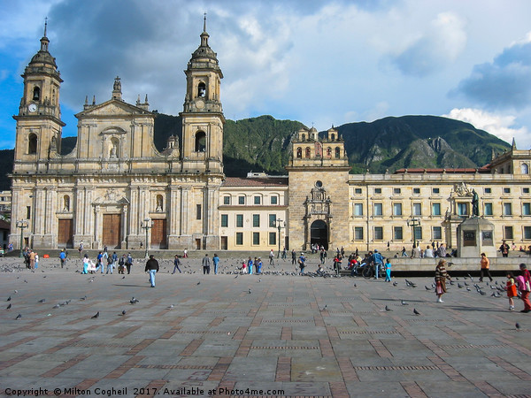 Primatial Cathedral of Bogota Picture Board by Milton Cogheil