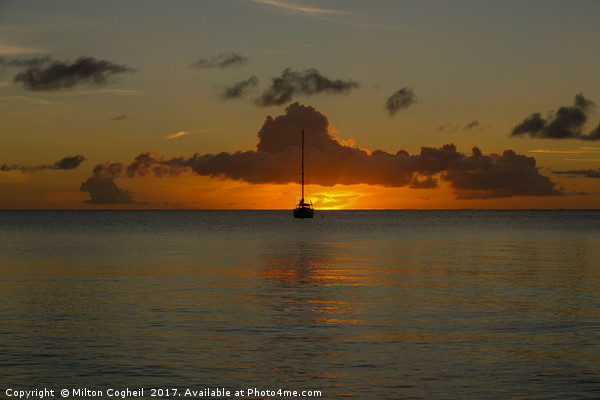 St Lucia Sunset 3 Picture Board by Milton Cogheil