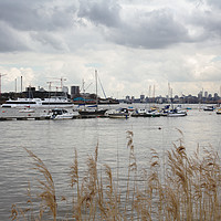 Buy canvas prints of River Thames, North Greenwich by Milton Cogheil