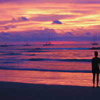 Buy canvas prints of Purple Sunset by Milton Cogheil