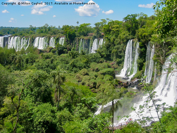 Iguasu Falls Picture Board by Milton Cogheil