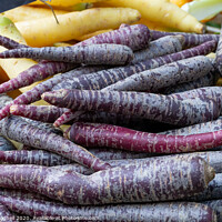 Buy canvas prints of Pile of purple carrots on a market stall. by Milton Cogheil