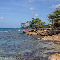 Buy canvas prints of Treasure Beach, Jamaica by Milton Cogheil
