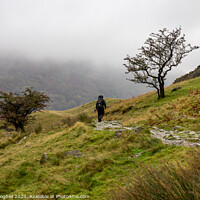 Buy canvas prints of Walker in the Lake District foggy landscape in the by Milton Cogheil