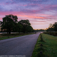 Buy canvas prints of Cyclist riding at sunrise through Richmond Park by Milton Cogheil