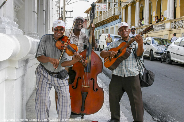 Cuban street musicians Picture Board by Milton Cogheil