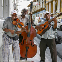 Buy canvas prints of Cuban street musicians by Milton Cogheil