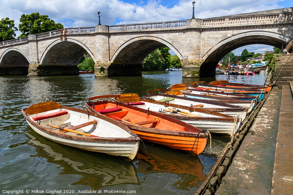 Richmond Bridge and wooden row boats on the River  Picture Board by Milton Cogheil