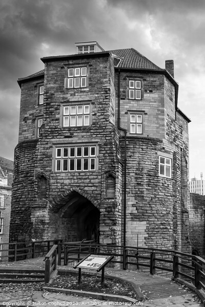 The medieval Black Gate in Newcastle upon Tyne Picture Board by Milton Cogheil
