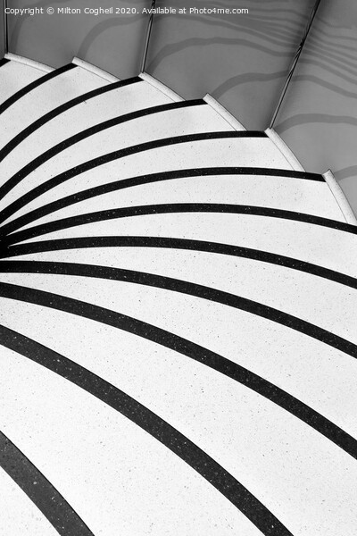 Spiral Zebra Picture Board by Milton Cogheil
