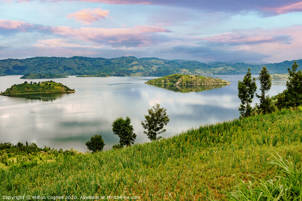 Lake Kivu In Rwanda Picture Board by Milton Cogheil