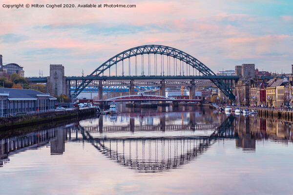 The Bridges of Tyne Picture Board by Milton Cogheil
