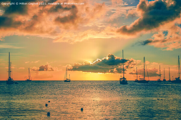 Sunset at Rodney Bay, St Lucia Picture Board by Milton Cogheil