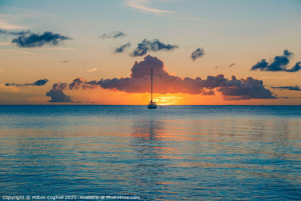 Tranquil sunset at Rodney Bay, St Lucia Picture Board by Milton Cogheil