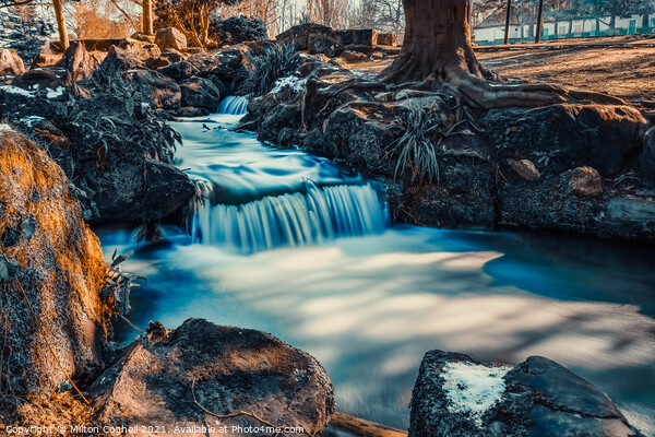 Long exposure of Beddington Park waterfall Picture Board by Milton Cogheil