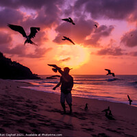 Buy canvas prints of Flying Frigate birds being fed Fernando de Noronha, Brazil by Milton Cogheil