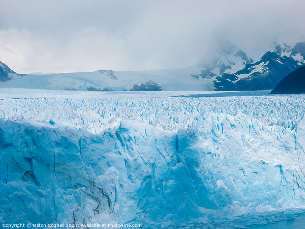 Perito Moreno Glacier Picture Board by Milton Cogheil