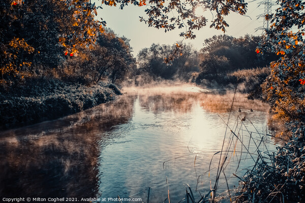 Mist on the River Wandle, London Picture Board by Milton Cogheil