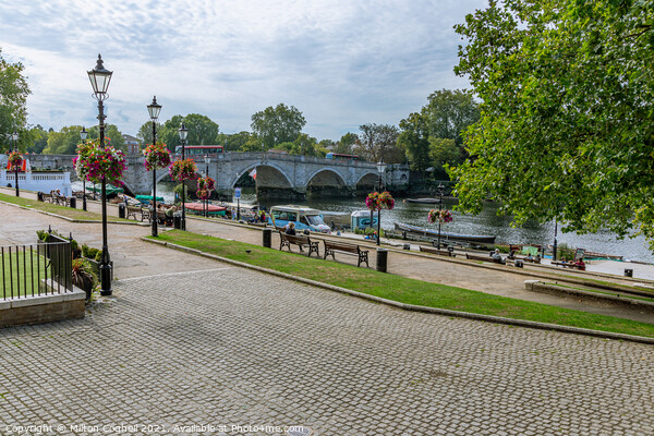 Richmond waterfront with River Thames and Richmond Bridge in the background Picture Board by Milton Cogheil