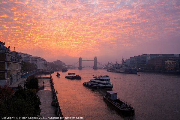 Fire Sky Above London Picture Board by Milton Cogheil