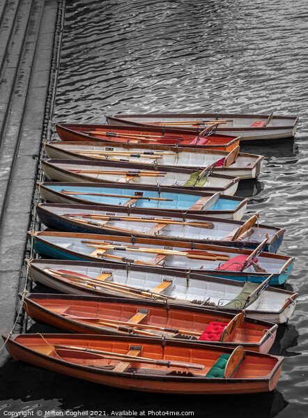 Row boats in a row Picture Board by Milton Cogheil