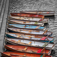 Buy canvas prints of Row boats in a row by Milton Cogheil