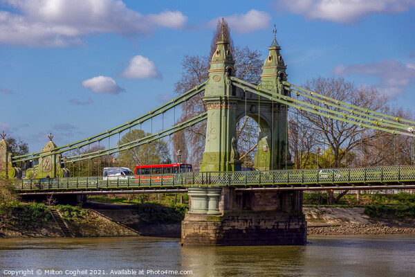 Red London bus on Hammersmith Bridge Picture Board by Milton Cogheil