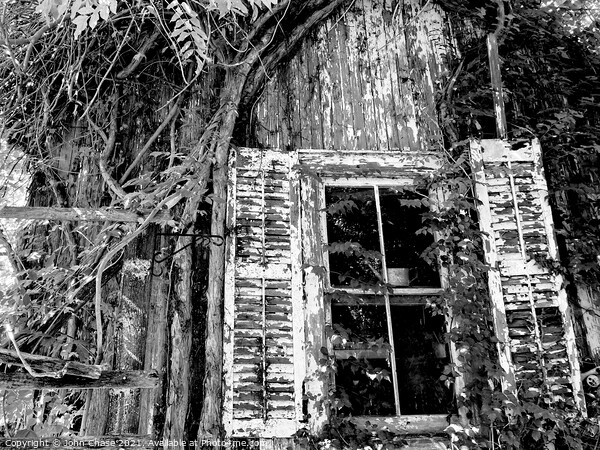 Overgrown Shed and Window Picture Board by John Chase