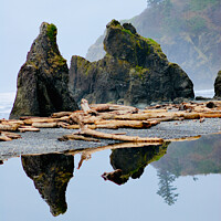 Buy canvas prints of Ruby Beach #1 by John Chase