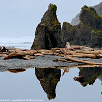 Buy canvas prints of Ruby Beach #2 by John Chase