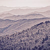 Buy canvas prints of Great Smoky Mountains National Park in Springtime by John Chase