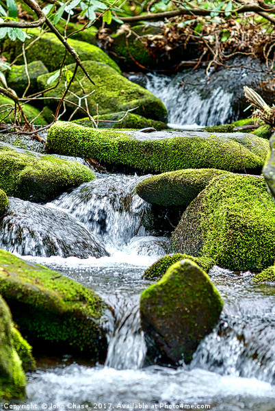 Cool Mountain Stream in Spring Picture Board by John Chase