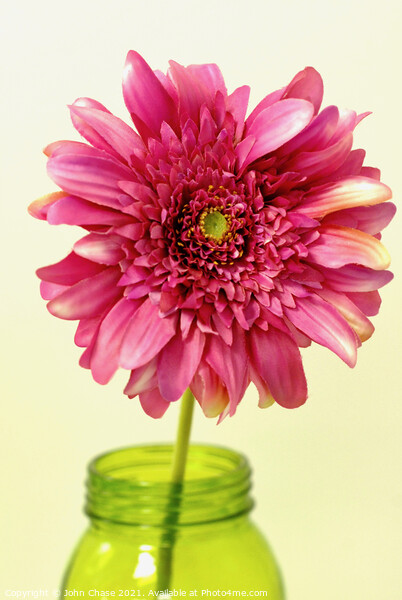 Pink Flower in a Vase Picture Board by John Chase