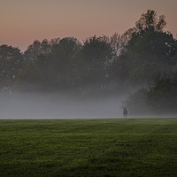 Buy canvas prints of Standing Alone in the Mist. Earlham Park, Norwich, by Nichol Pope
