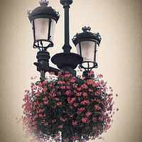 Buy canvas prints of Geraniums on lamp post - Antique look. by Steve Whitham
