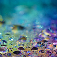 Buy canvas prints of Drops of water lit from below  by Steve Whitham
