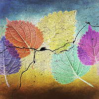 Buy canvas prints of Graffiti Leaves. by Steve Whitham