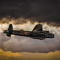 Buy canvas prints of Into the Storm. by Steve Whitham