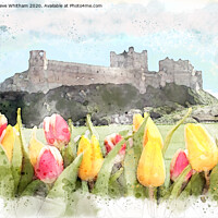 Buy canvas prints of Bamburgh Castle across the gardens. by Steve Whitham
