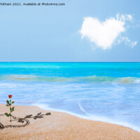 Buy canvas prints of Love on a Beach. by Steve Whitham