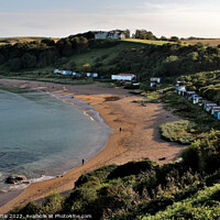 Buy canvas prints of Coldingham Bay Northumberland by Tom Curtis