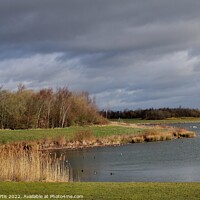 Buy canvas prints of Anglers Country Park Wakefield by Tom Curtis