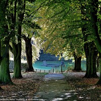 Buy canvas prints of Elsecar Park South Yorkshire by Tom Curtis